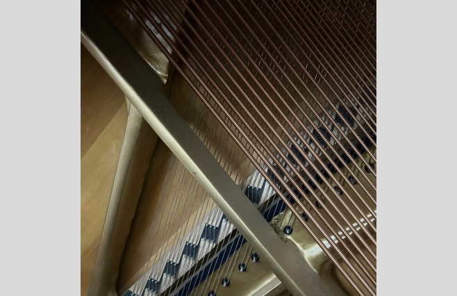 Peter Alexander & Sons Satin Mahogany Upright Piano, Used - All Inclusive Premium Package (SN:46964) - Image 13